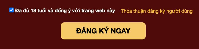 Bước 5: Đồng ý với điều khoản