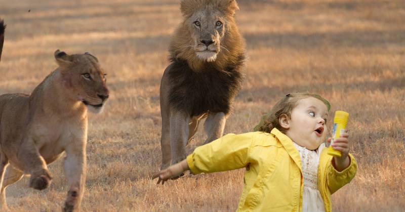 Mơ thấy bị đuổi bởi thú dữ